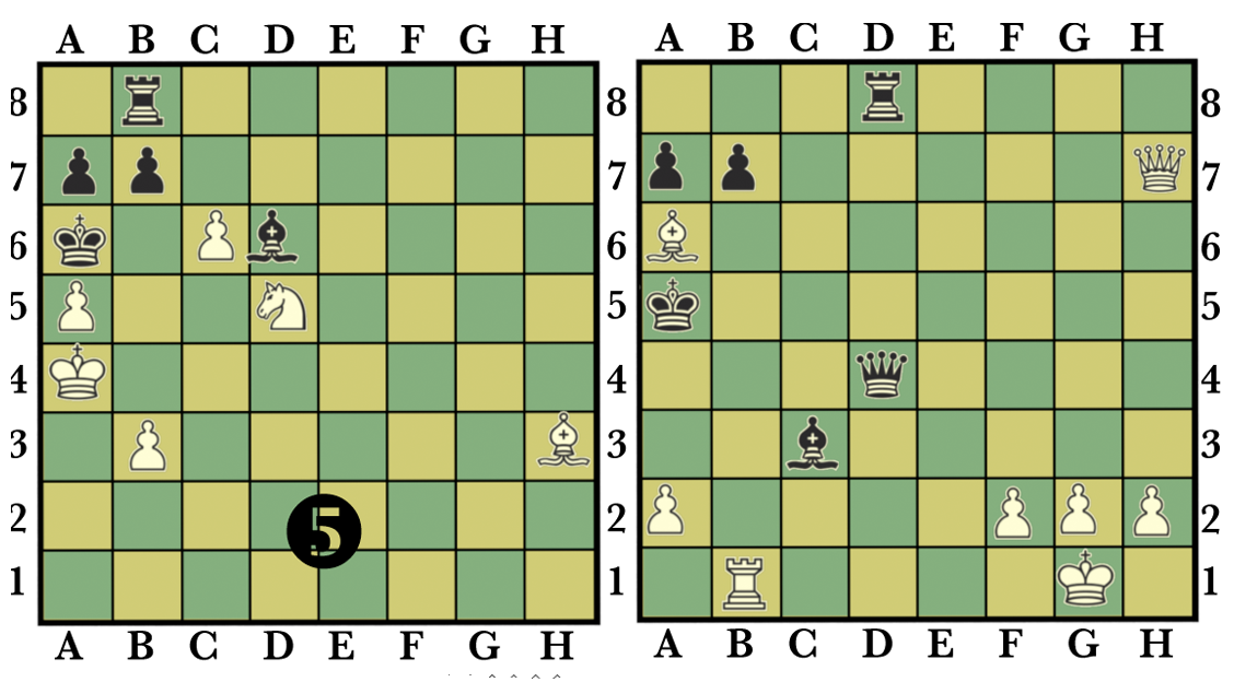p8p3b (514K)